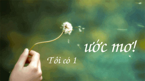 Không theo đuổi ước mơ hay không làm việc đúng với ước mơ Không theo đuổi ước mơ hay không làm việc đúng với ước mơ