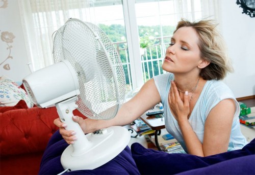 Mệt mỏi với cái nóng mùa hè