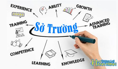 Sở trường kiến thiết tìm thấy niềm đam mê của bạn