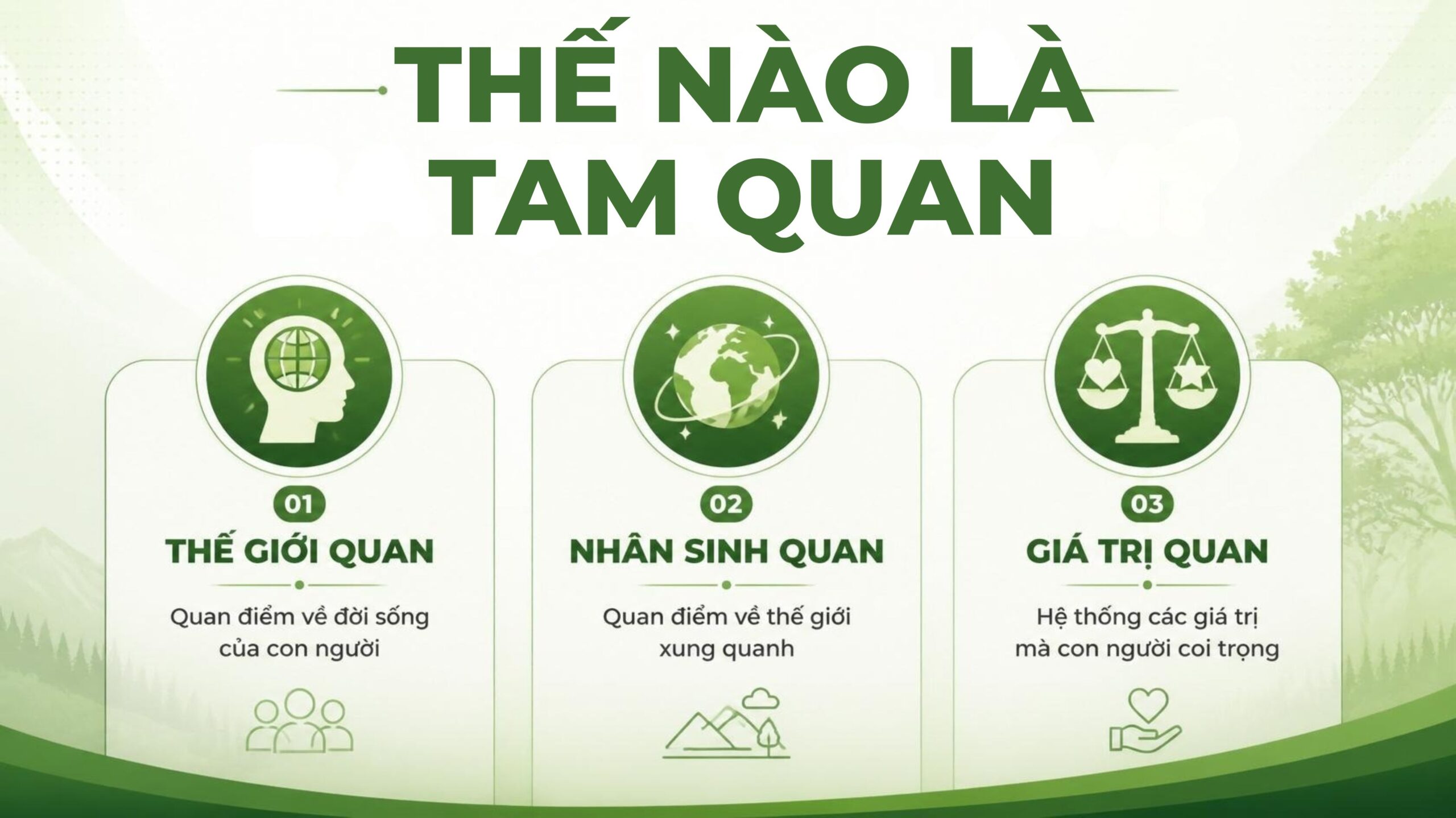 Tam quan là gì | thế nào là tam quan?